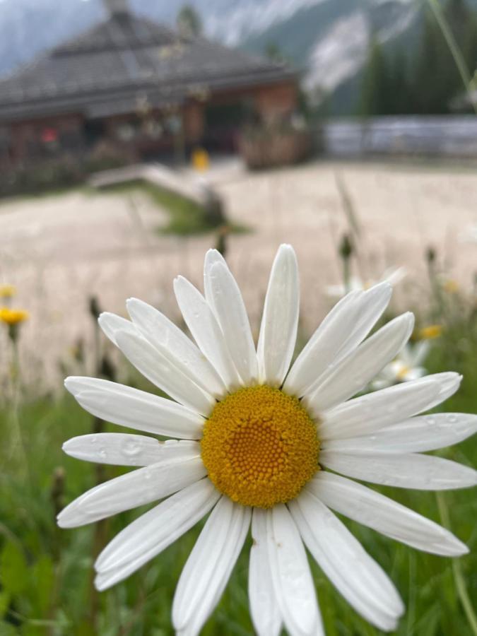 Baita Deona Cibiana Buitenkant foto