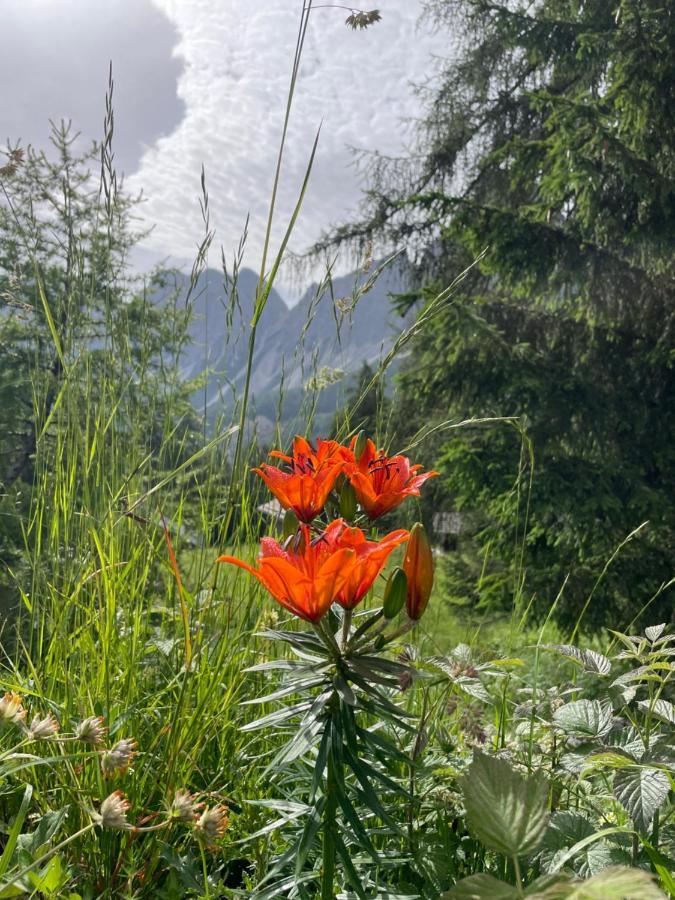 Baita Deona Cibiana Buitenkant foto
